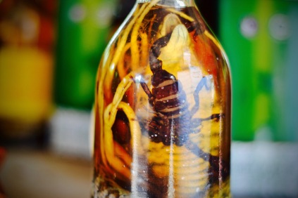 paul-tocatlian-2016-vietnam-saigon-mekong-delta-scorpion-bottle